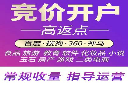 百度竞价SEM深度解析：某行业成功推广经验